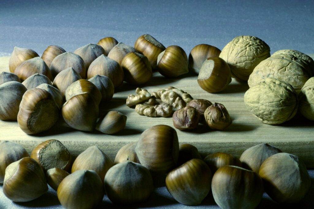 magnesium, nuts, italian, hazelnuts